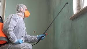 Why You Should Choose Our Mold Remediation Services in Mertzon, TX