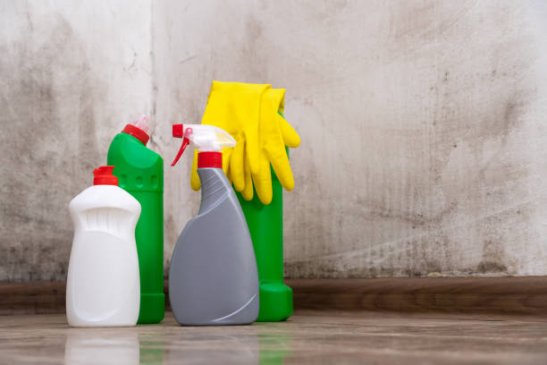 Mertzon, TX Mold Prevention & Removal  Company